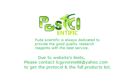 Pan Acetyl-Lysine Polyclonal Antibody