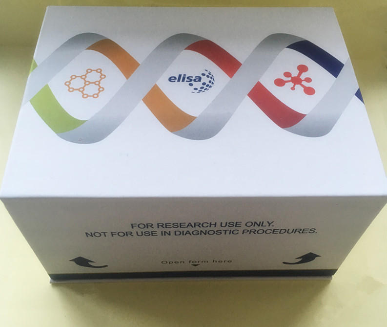 Enrofloxacin ELISA Test Kit